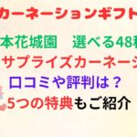 母の日　吉本花城園　ハッピーサプライズカーネーションギフトセット　口コミ